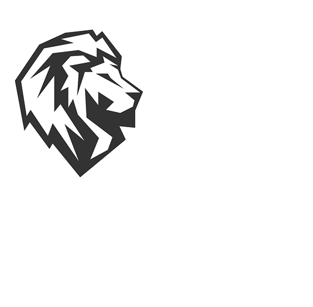 LDM-Partners